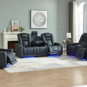 Model Y (White or Black)